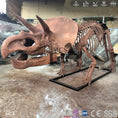 Charger l'image dans la visionneuse de la galerie, MCSDINO Skeleton Fossil Replica Buried Triceratops Fossil Replica Casts For Sale-SKR003
