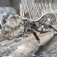 Cargar la imagen en la vista de la galería, MCSDINO Skeleton Fossil Replica Buy Real Dinosaur Bones Dimetrodon Replica-SKR023
