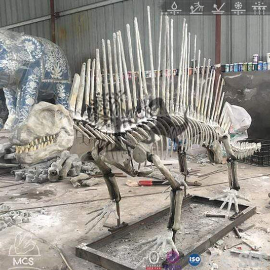 MCSDINO Skeleton Fossil Replica Buy Real Dinosaur Bones Dimetrodon Replica-SKR023