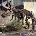 Cargar la imagen en la vista de la galería, MCSDINO Skeleton Fossil Replica Dinosaur Rental T-Rex Replica Fossils Cast For Sale-SKR019
