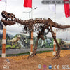 MCSDINO Skeleton Fossil Replica Dinosaur Rental T-Rex Replica Fossils Cast For Sale-SKR019