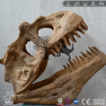 Charger l'image dans la visionneuse de la galerie, MCSDINO Skeleton Fossil Replica Dinosaur Reproduction Deinonychus Fossil Replica-SKR014
