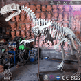 Cargar la imagen en la vista de la galería, MCSDINO Skeleton Fossil Replica Dinosaur Reproduction Deinonychus Fossil Replica-SKR014
