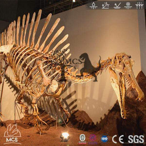 MCSDINO Skeleton Fossil Replica Dinosaur Spinosaurus Skeleton Fossil Replica Bone Skeleton-SKR022