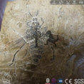 Carica l'immagine nel visualizzatore della galleria, MCSDINO Skeleton Fossil Replica Giant Bee Insect Replica For Sale-SKR030
