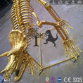 Cargar la imagen en la vista de la galería, Gold Dinosaur Skeletons Replica Display Triceratops-SKT003-2 - mcsdino
