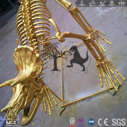 Gold Dinosaur Skeletons Replica Display Triceratops-SKT003-2 - mcsdino