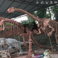 Cargar la imagen en la vista de la galería, MCSDINO Skeleton Fossil Replica Lufengosaurus Replica Cast  Skeleton Fossil -SKR021
