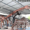 Cargar la imagen en la vista de la galería, MCSDINO Skeleton Fossil Replica Mamenchisaurus Skeleton Fossil Replica Bone Skeleton-SKR018
