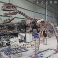 Charger l'image dans la visionneuse de la galerie, MCSDINO Skeleton Fossil Replica Monolophosaurus Dinosaur Fossil Replica Casts For Sale-SKR001
