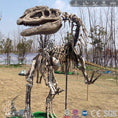 Bild in Galerie-Betrachter laden, MCSDINO Skeleton Fossil Replica Monolophosaurus Dinosaur Fossil Replica Casts For Sale-SKR001
