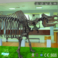 Carica l'immagine nel visualizzatore della galleria, MCSDINO Skeleton Fossil Replica Prehistoric Life Elasmotherium Skeleton Fossil Replica-SKR011
