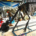 Charger l'image dans la visionneuse de la galerie, MCSDINO Skeleton Fossil Replica Prehistoric Life Elasmotherium Skeleton Fossil Replica-SKR011
