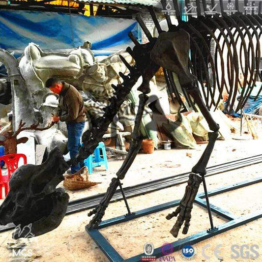 MCSDINO Skeleton Fossil Replica Prehistoric Life Elasmotherium Skeleton Fossil Replica-SKR011