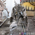 Charger l'image dans la visionneuse de la galerie, MCSDINO Skeleton Fossil Replica Realistic Buried Stegosaurus Dinosaur Fossils Replicas For Sale-SKR002

