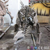 MCSDINO Skeleton Fossil Replica Realistic Buried Stegosaurus Dinosaur Fossils Replicas For Sale-SKR002