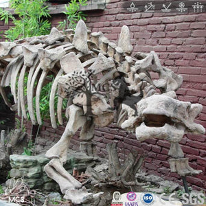 MCSDINO Skeleton Fossil Replica Replicating Dinosaur Fossil Ankylosaurus Casts-SKR012