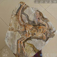 Charger l'image dans la visionneuse de la galerie, MCSDINO Skeleton Fossil Replica Sinosauropteryx Feathered Dinosaur Fossil Replica-SKR029
