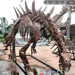 MCSDINO Skeleton Fossil Replica Stegosaurus Skeleton Dinosaur Fossil Replica-SKR007