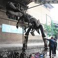 Carica l'immagine nel visualizzatore della galleria, MCSDINO Skeleton Fossil Replica T-Rex Skeleton Cast Replica-SKR017
