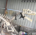 Carica l'immagine nel visualizzatore della galleria, T-Rex Specimen Skeleton Fossil Replica-SKT002-5 - mcsdino
