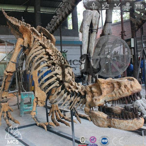 MCSDINO Skeleton Fossil Replica T-Rex Specimen Skeleton Fossil Replica-SKR020