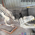 Carica l'immagine nel visualizzatore della galleria, MCSDINO Skeleton Fossil Replica T-Rex Specimen Skeleton Fossil Replica-SKR020
