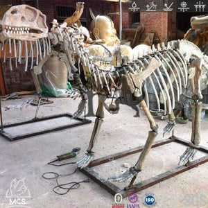 MCSDINO Skeleton Fossil Replica Tienshanosaurus  Skeleton Fossil Replica Bone Skeleton-SKR013