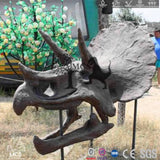 MCSDINO Skeleton Fossil Replica Triceratops Skull Replica Stylish Office Decor-SKR031