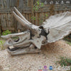 MCSDINO Skeleton Fossil Replica Triceratops Skull Replica Stylish Office Decor-SKR031