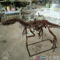 Charger l'image dans la visionneuse de la galerie, Mcsdinosaur Skeleton Fossil Replica Dinosaur Velociraptor Skeleton Fossil Replica Bone-SKR008
