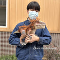 Bild in Galerie-Betrachter laden, Mini T-Rex Dinosaur Puppet
