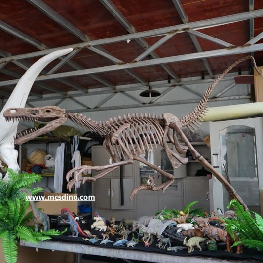 Réplica de esqueleto de Deinonychus montado-SKR034