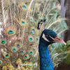 peacock animatronic wedding decoration-mcsdino