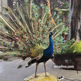 Carica l'immagine nel visualizzatore della galleria, peacock animatronic wedding decoration-mcsdino
