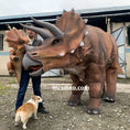 Carica l'immagine nel visualizzatore della galleria, triceratops costume dinosaur parade-mcsdino
